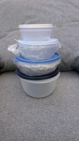 TUPPERWARE Schüsseln Frische Quartett 300ml 650ml 950ml 1,9l NEU! Brandenburg - Görzke Vorschau