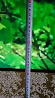 LG Fernseher 55 Zoll Hessen - Wiesbaden Vorschau