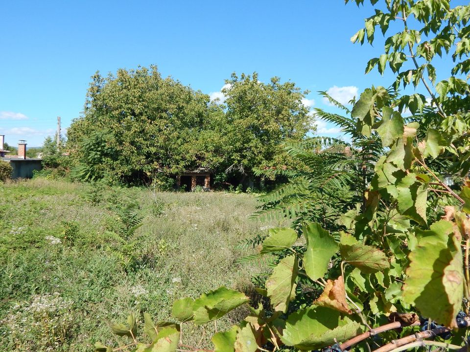 Haus mit 1800 m2 Grund,Nebengeb.bei Nova Zagora in Mügeln