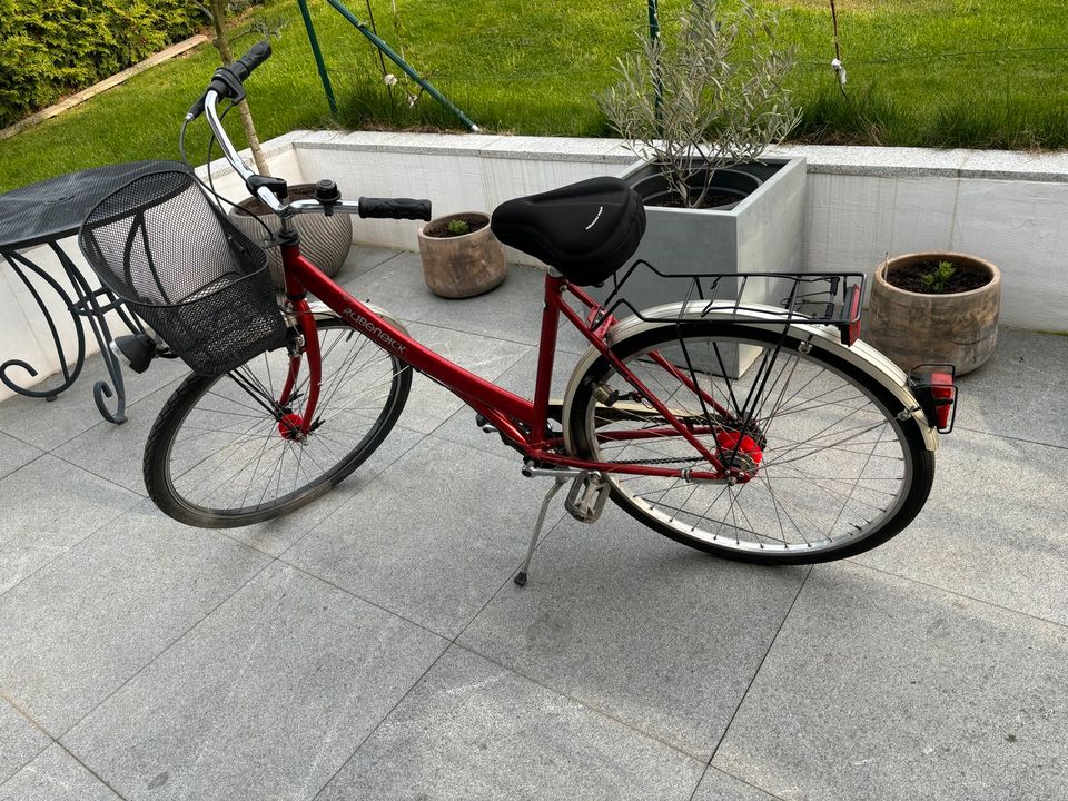 Damenrad 28“ Fahrrad Rahmenhöhe 53 in Klipphausen