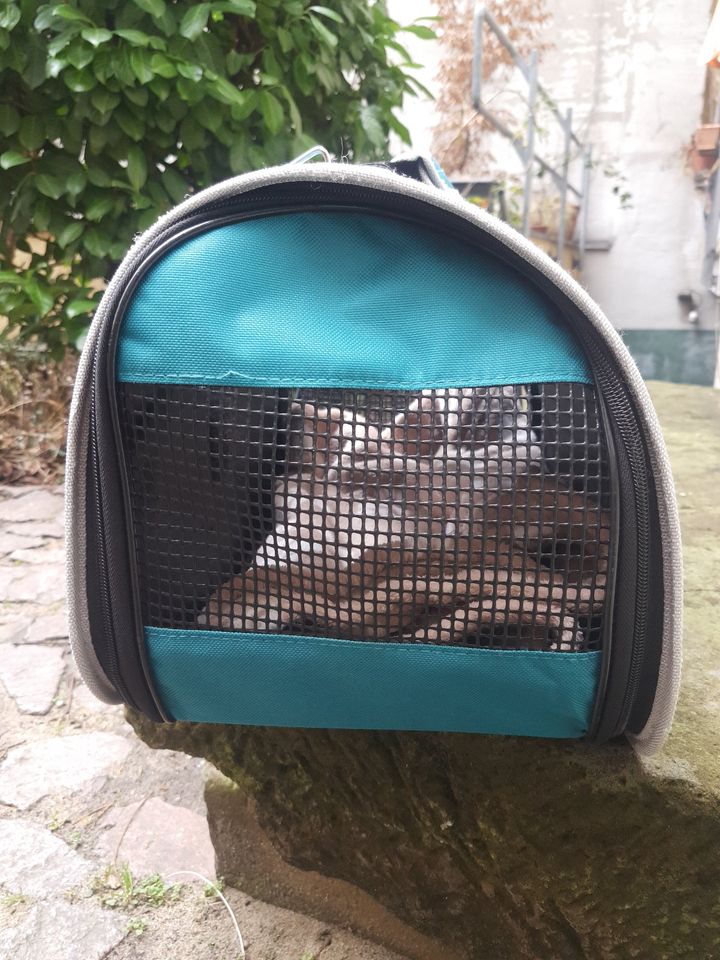 hochwertige Katzentransporttasche mit Zubehör, ein Mal benutzt in Dresden