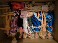 Barbie Puppen Baden-Württemberg - Singen Vorschau