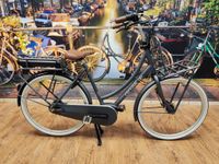 E-Bike Elektro Fahrrad E-Bike Damenrad Bosch Hollandrad NEU!!! Nordrhein-Westfalen - Goch Vorschau
