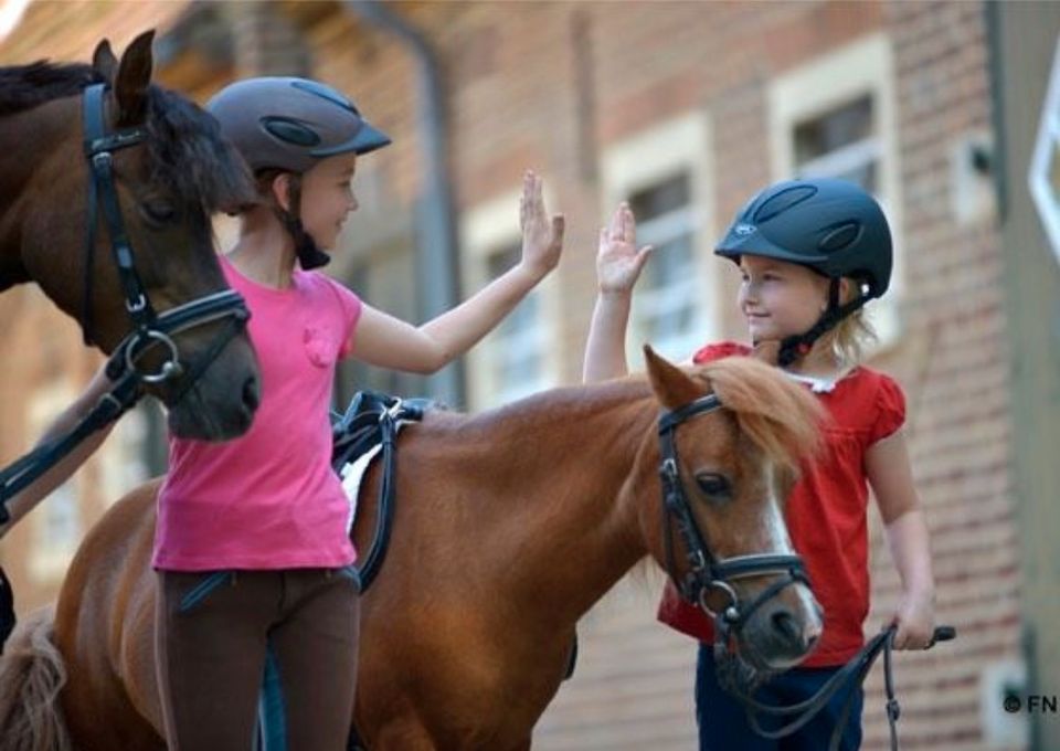 Rauf aufs Pferd: Gratis Schnupperstunde Reiten in Gerstungen