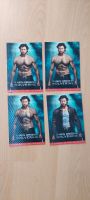 X-Men Origins Wolverine 3D Bild Niedersachsen - Wolfsburg Vorschau