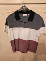 LACOSTE POLOSHIRT GR.XL TOP Nordrhein-Westfalen - Rheine Vorschau