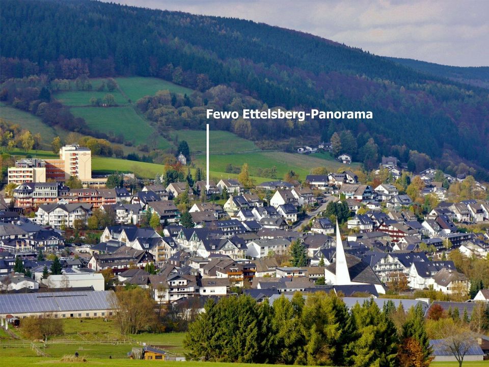 Ferienwohnung Ettelsberg-Panorama (4 P.) Willingen Sauerland Fewo in Willingen (Upland)