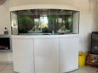 JUWEL Vision 450 LED Aquarium mit Unterschrank - Weiß Nordrhein-Westfalen - Grevenbroich Vorschau