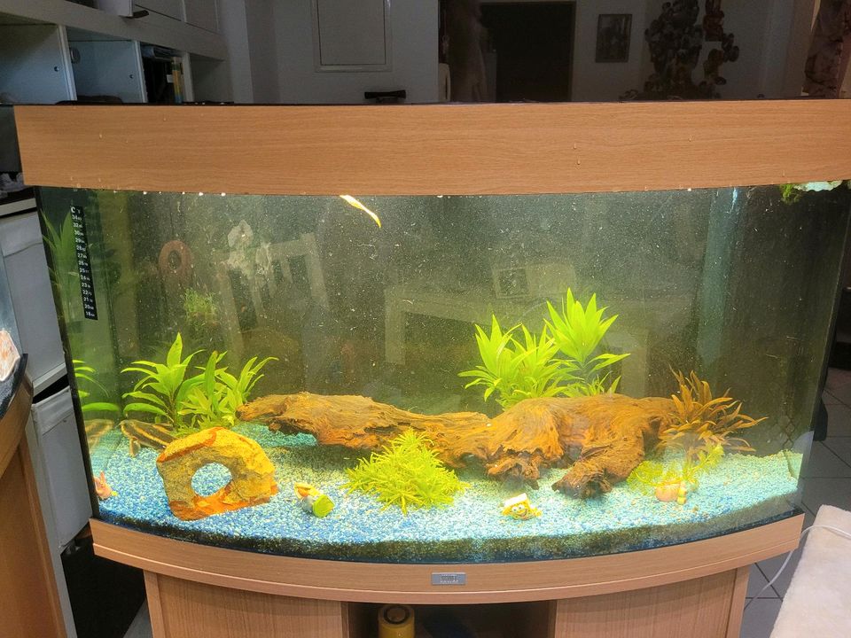 Aquarium 180 Liter in Senden