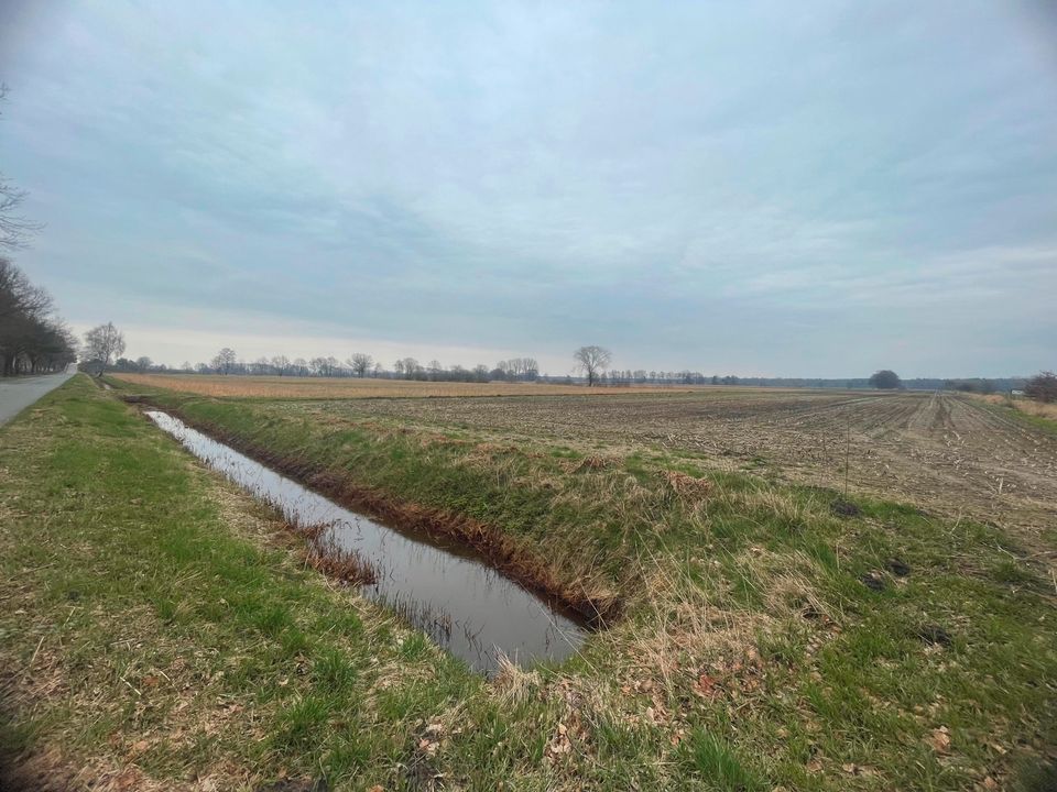 Landwirtschafts- und Waldfläche in Burgwedel