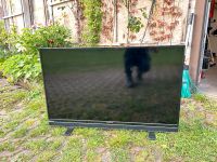 Grundig 43 Zoll (108cm) Full HD LED TV Fernseher Bayern - Kronach Vorschau