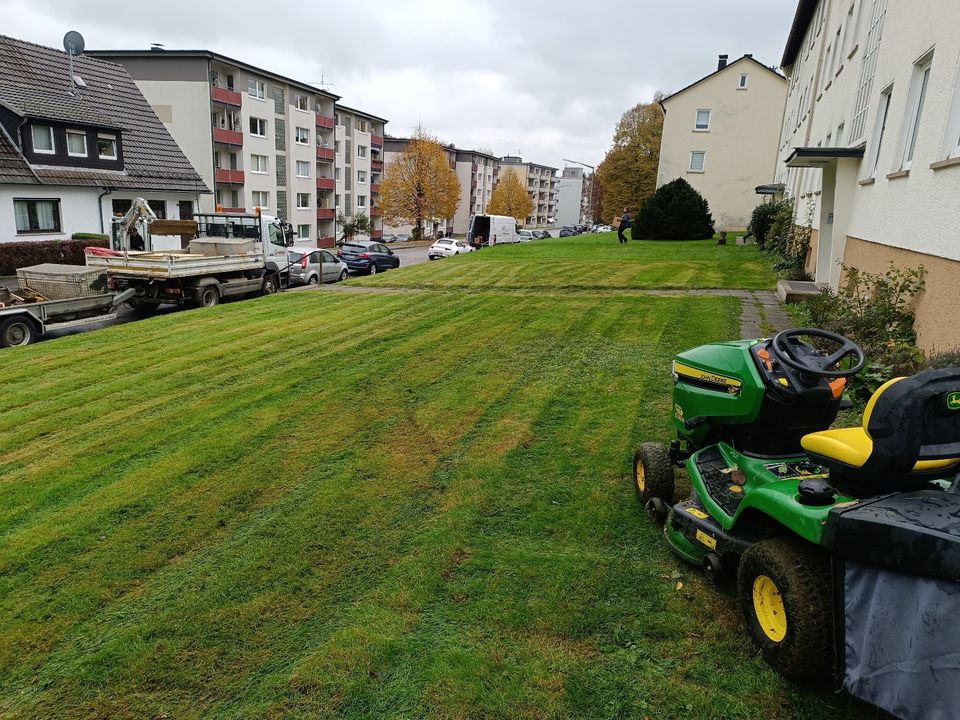 - Gartenpflege - Hecke schneiden, Rasen mähen, Baumfällung in Wipperfürth