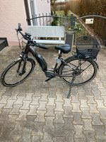 E - Bike Ideal Orama - D5 Bayern - Hausen i. Niederbayern Vorschau