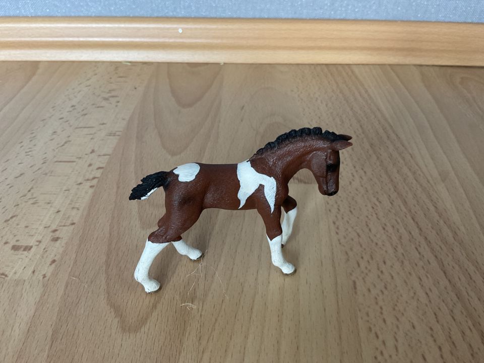 ***** Schleich Fohlen zur Wahl ***** in Neu-Isenburg