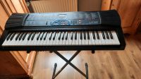 Casio keyboard  lk30 Rheinland-Pfalz - Bingen Vorschau