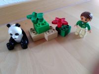 Lego Duplo 6173 Panda Sachsen-Anhalt - Magdeburg Vorschau