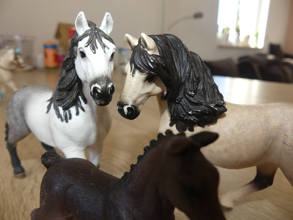 Schleich Pferde Andalousierfamilie (13793, 13821, 13822) in Hermsdorf