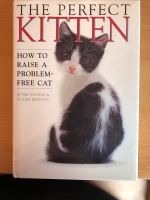 The perfect Kitten - How to raise a problem free cat Niedersachsen - Tarmstedt Vorschau