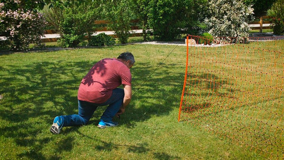 Geflügelnetz 106cm Höhe, elektrifizierbar, orange, PoultryNet in Treuenbrietzen