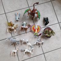 Schleich Bayala Sammlung Drache 70560 Pegasus Elfe 70419 Nordrhein-Westfalen - Wiehl Vorschau