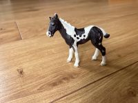 Schleich Fohlen Hessen - Obertshausen Vorschau