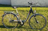 Pegasus Fahrrad Tiefeinstieg Rahmengröße 45 28 Zoll Bayern - Höchstädt a.d. Donau Vorschau