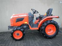 Kubota Kleintraktor Schlepper Hoftraktor Traktor Bulldog Sachsen-Anhalt - Zielitz Vorschau