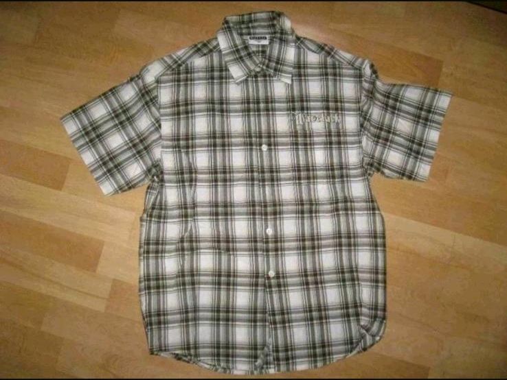 ❤ Lang- und Kurzarm Hemden Gr. 146 / 152 je 3 € ❤ in Datteln
