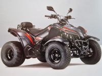 Kymco Maxxer 300 OFF und ONROAD LOF Brandenburg - Schönwalde-Glien Vorschau