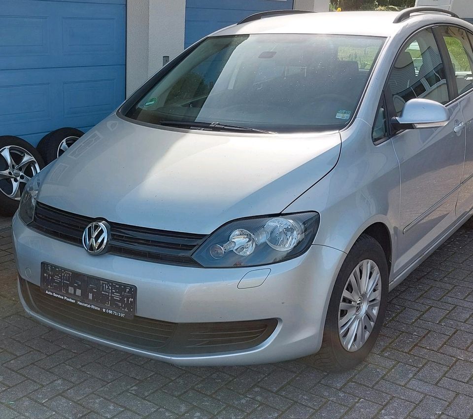 Golf Plus 1,6 TDI 77KW BJ 10/09 137Tkm Alu Felgen in Haunetal