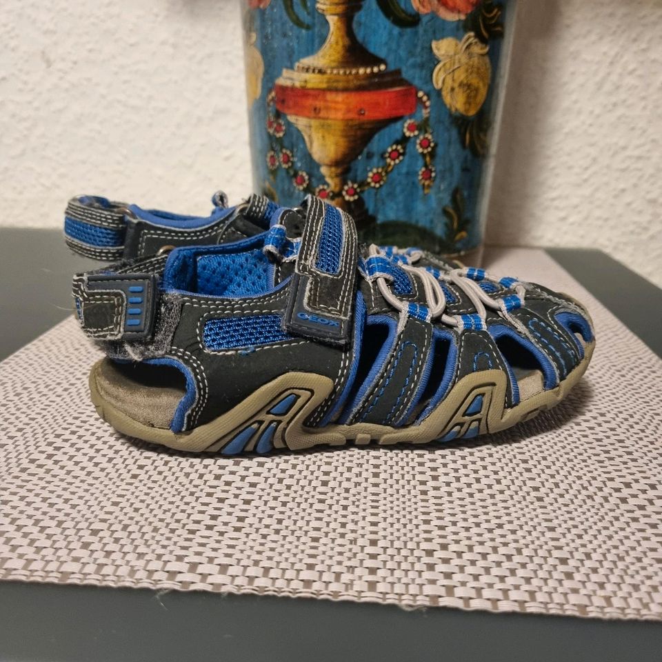 Geox Sandalen in Siegen