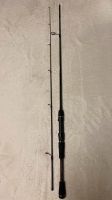 DAIWA Ballistic X, 195cm, 5-20 Gramm (spin) Bielefeld - Senne Vorschau