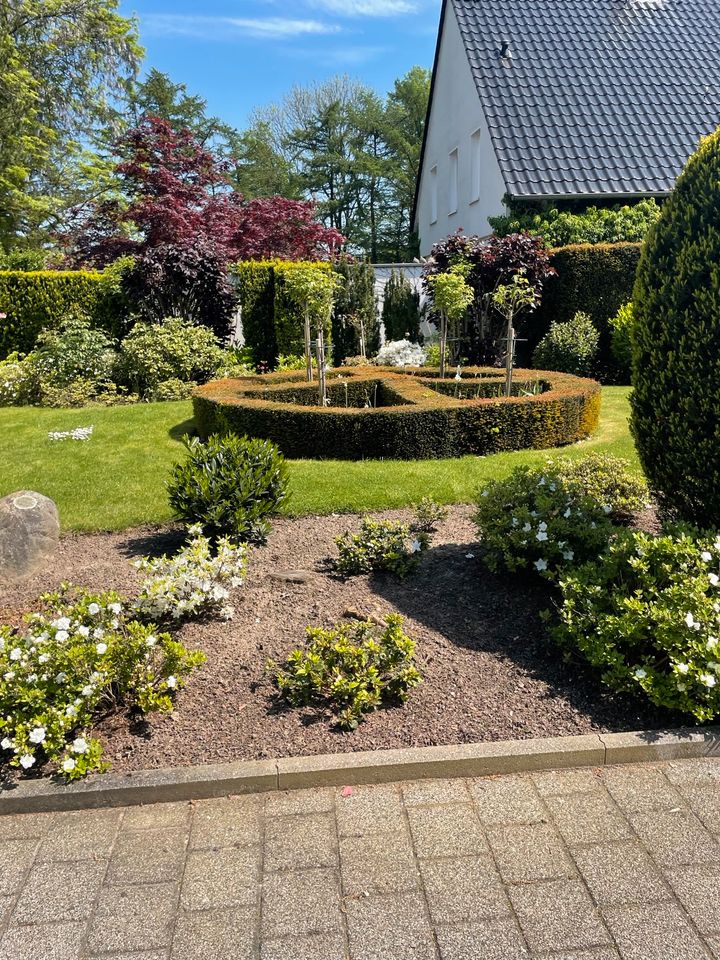 Gartenflege,Terrasen reinigung in Bochum