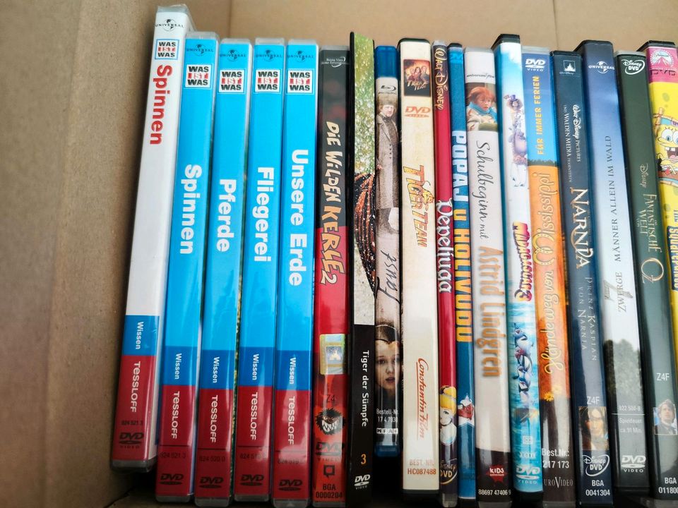 Kinder und Lern DVD s Konvolut kinder Filme Blu-ray in Großrinderfeld