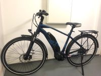 Raymon Tourray E 2.0 28" Herren E-Bike Elektrorad Fahrrrad Sachsen - Chemnitz Vorschau