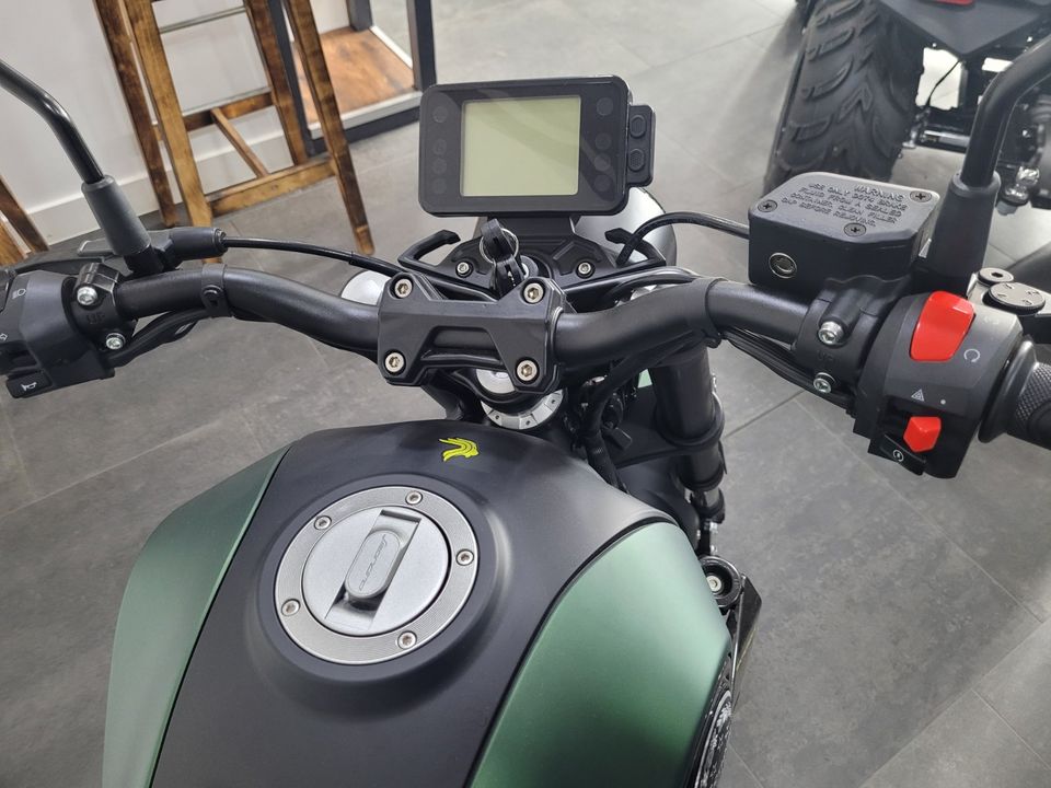 Benelli, Leoncino 125, Leichtkraftrad, Motorrad, 125ccm in Papendorf MV