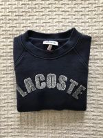 Dunkelblaues Lacoste Sweater Größe 116 Niedersachsen - Rehlingen Vorschau