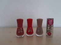 Nagellack essence Gelnägel 3 Farben & 1 Top Coat Sachsen - Meißen Vorschau