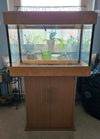 Aquarium  ca 160-180 L mit Unterschrank Bielefeld - Sennestadt Vorschau