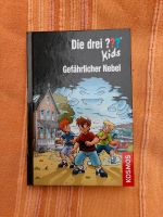 Die drei ??? Kids Gefährlicher Nebel Brandenburg - Potsdam Vorschau