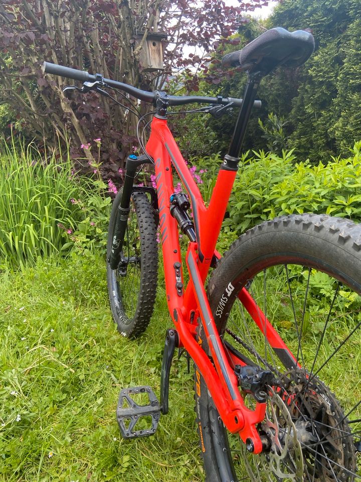 Canyon Spectral Gr.L Super Red in Siegen