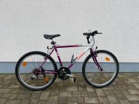 Trek Mountainbike Rheinland-Pfalz - Elkenroth Vorschau