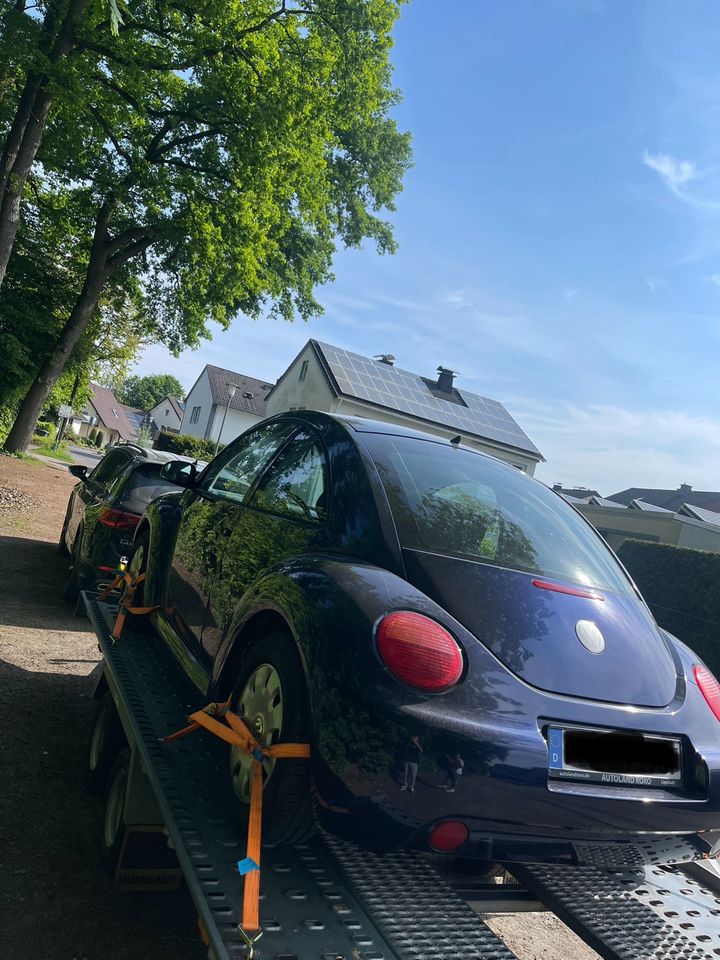 Volkswagen VW Beetle 9C Benzin in Delbrück