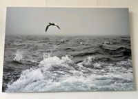 Bild ca 120x90.cm Nordsee mit Tölpeln schwarz weiß Mitte - Wedding Vorschau