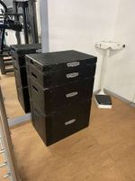 Technogym Plyoboxen Holz SET Bayern - Untergriesbach Vorschau