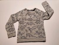 Pulli Dinos / Pullover Dinosaurier, Gr.98 Baden-Württemberg - Heidelberg Vorschau