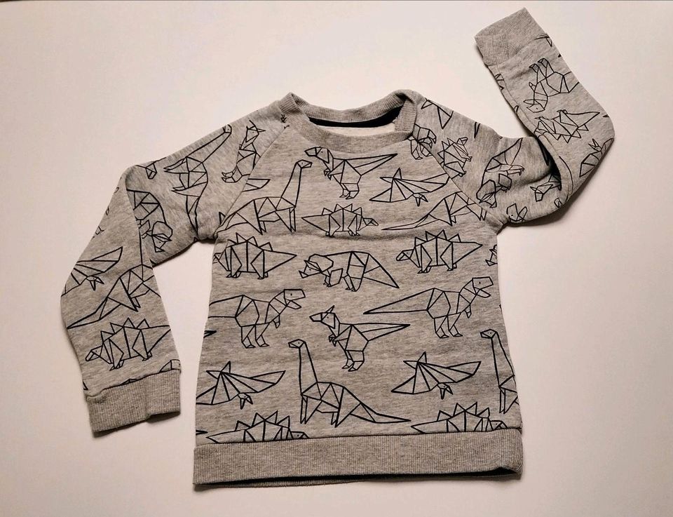 Pulli Dinos / Pullover Dinosaurier, Gr.98 in Heidelberg