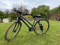 Damenfahrrad 50 RGr 26 Zoll Tecnobike DasistmeinRad Rheinland-Pfalz - Freckenfeld Vorschau