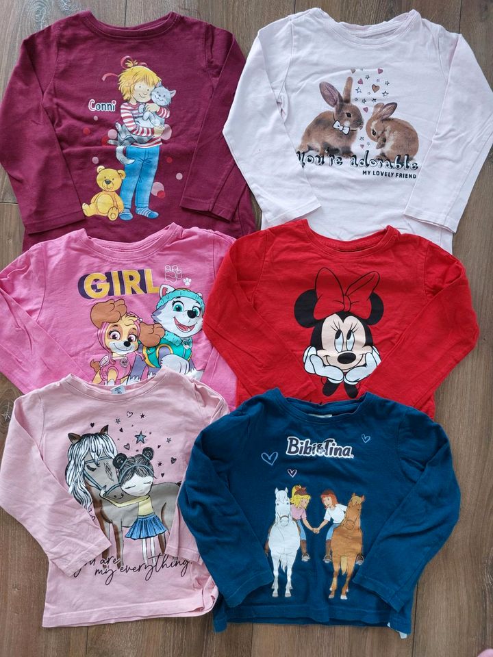 Kleiderpaket Mädchen Größe 98, Longsleeves, Bibi&Tina, Paw Patrol in Altrich