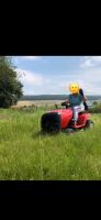 Biete Rasen mähen, Garten- Haus- Wiese Niedersachsen - Hildesheim Vorschau